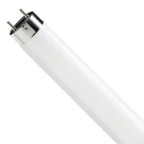 Philips TL-D Buizen (T8)